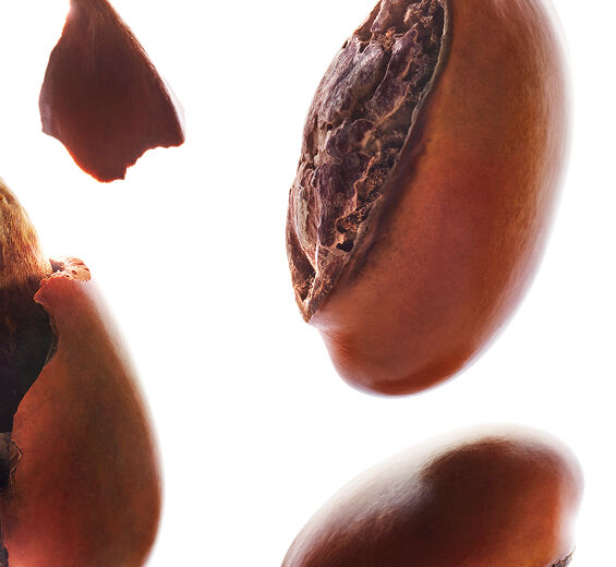 Shea tree-Shea unsaponifiable (from an organic plant)-undefined