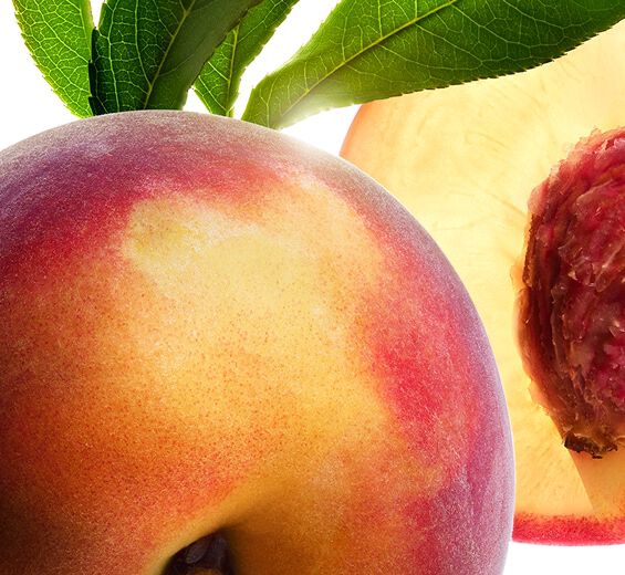 Peach tree-Peach tree milk-undefined