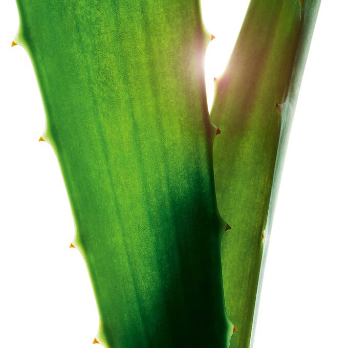 Samoopaľovacie kvapky na tv&aacute;r Self-tanning Face Booster