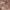 satin taupe satin taupe