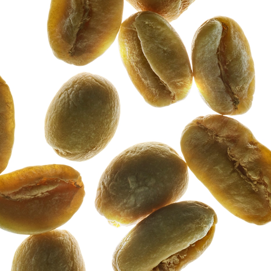 Arabica coffee shrub-Plant caffeine-Caffeine