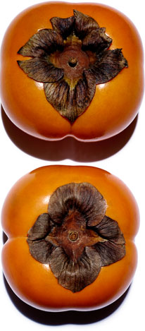 Persimmon