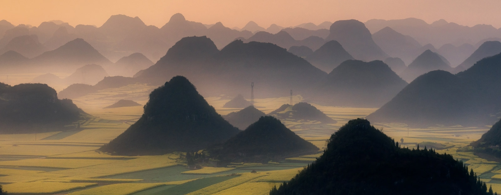 Natural habitat of cang-zhu