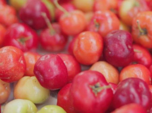 acerola berry