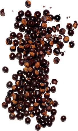 Guarana