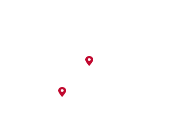 Bitter orange tree marked on the map